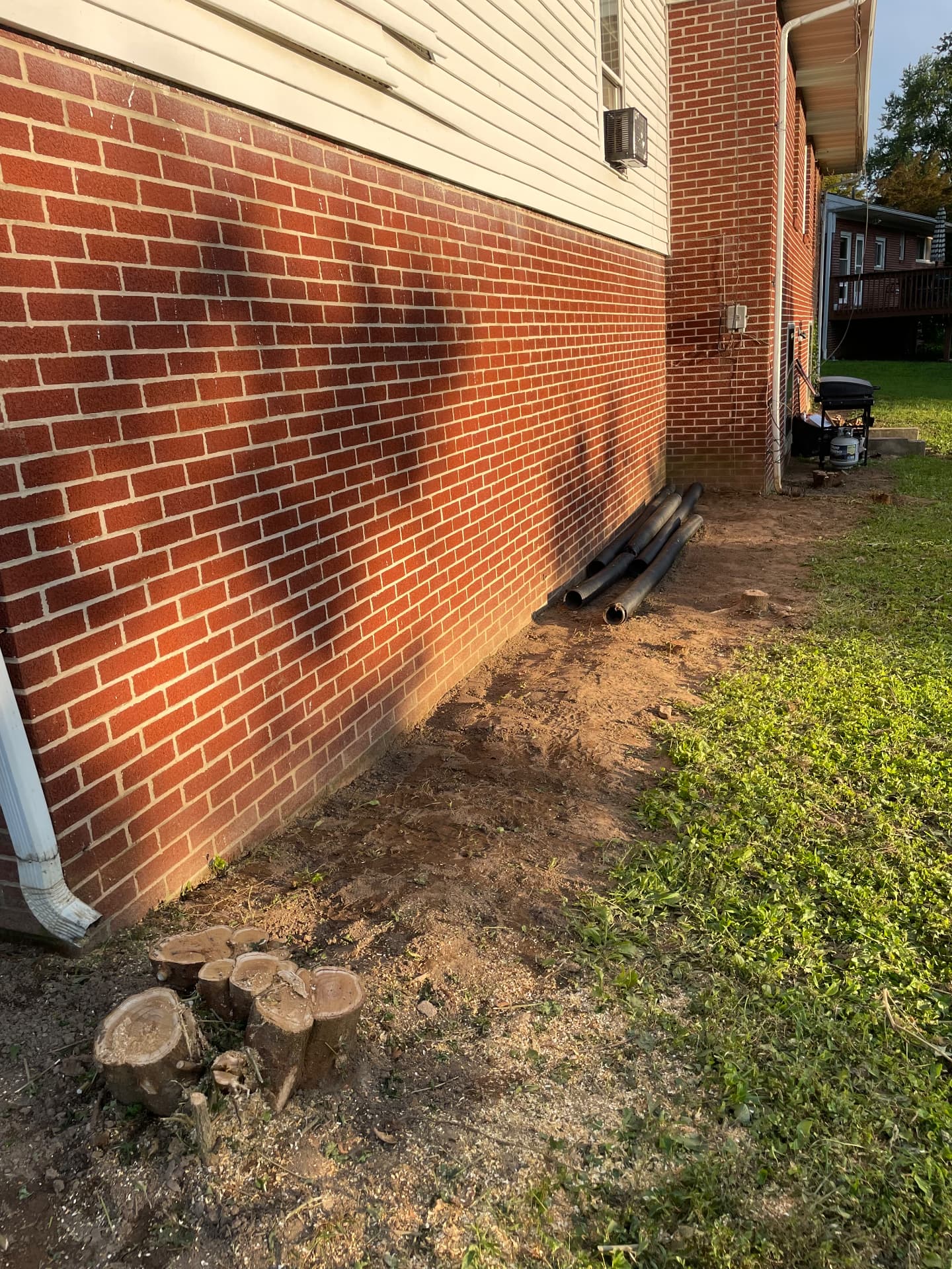 Landscaping, Bush & Brush Removal